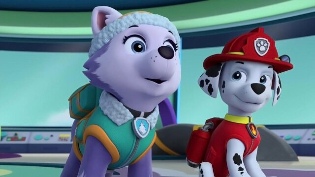 Pups save the out of control tour bus and more!, PAW Patrol Episode