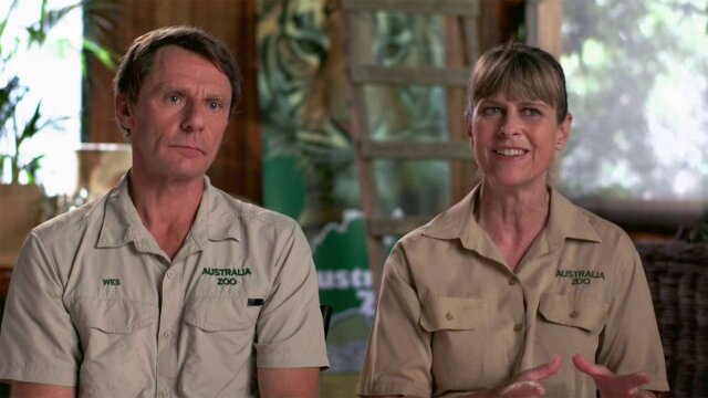 Watch The Crocodile Hunter: Best of Steve Irwin Casper the White ...