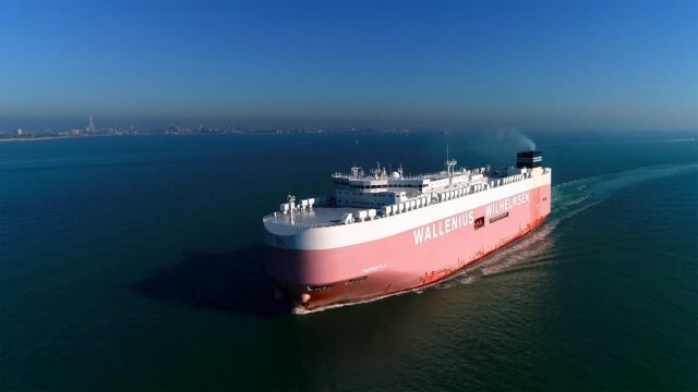 Monster Ships