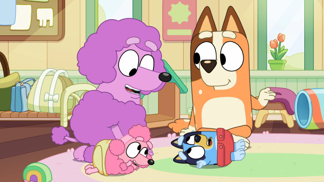 Watch Bluey Baby Race S2 E50 | TV Shows | DIRECTV