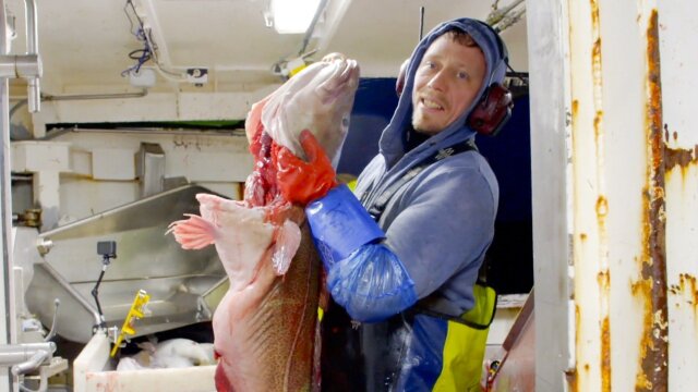 Ice Cold Catch