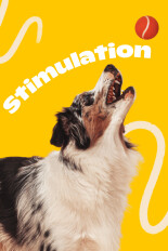 Stimulation