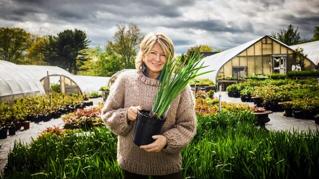 Martha Stewart - Garden