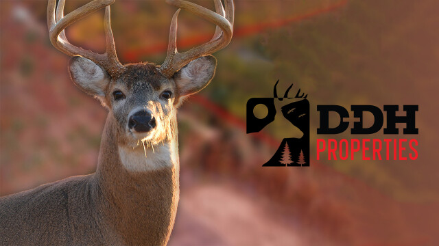 Deer & Deer Hunting Properties