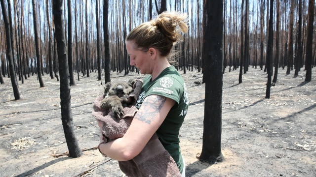 Australia on Fire: Climate Emergency