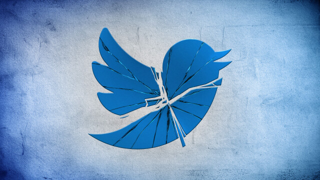 Twitter: Breaking the Bird