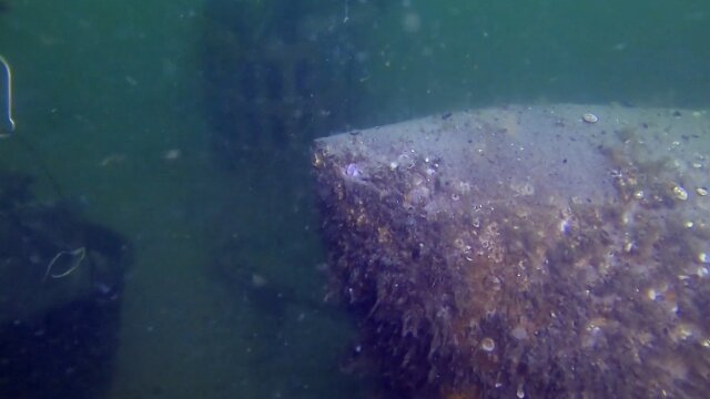 Abandoned: Expedition Shipwreck