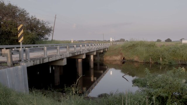 Murder in the Bayou