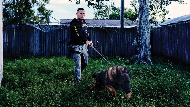 Live PD: Police Patrol K9