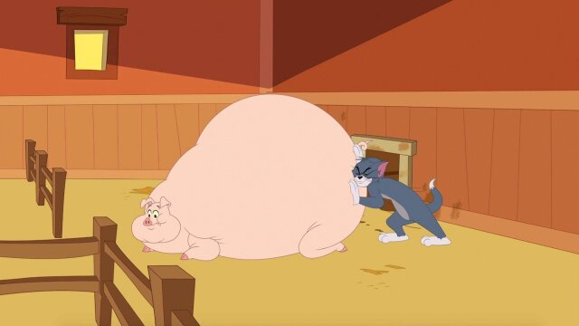 The Tom and Jerry Show