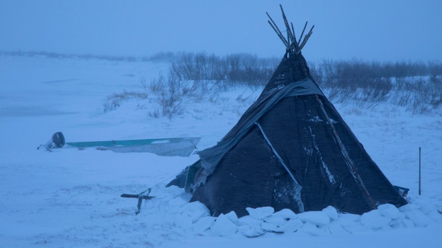 Life Below Zero