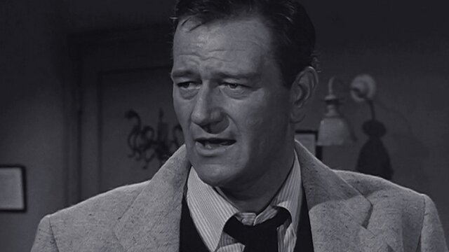 Watch Screen Directors Playhouse Rookie of the Year S1 E10 TV Shows