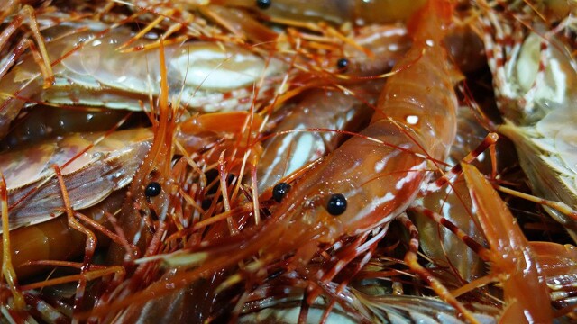 Bizarre Foods With Andrew Zimmern