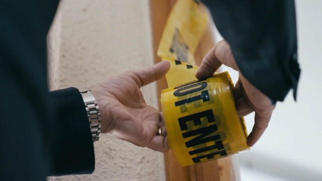 Bloodline Detectives