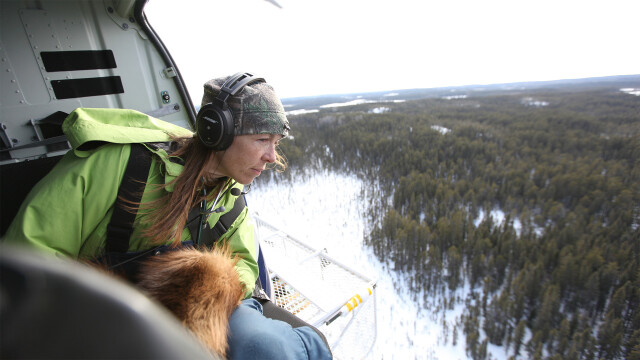 Dr. Oakley, Yukon Vet