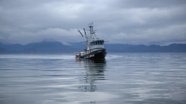 Port Protection Alaska