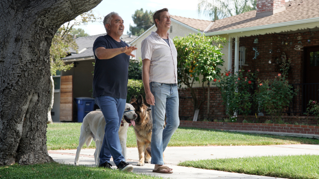 Cesar Millan: Better Human Better Dog