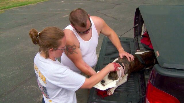 The Incredible Dr. Pol