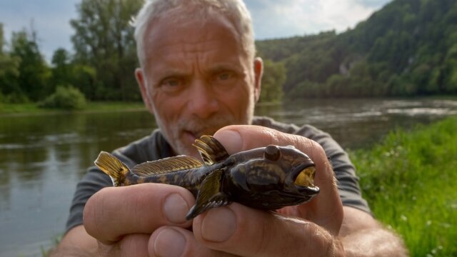 Jeremy Wade's Mighty Rivers