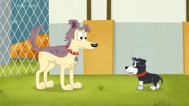 Pound Puppies