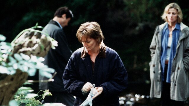 The Inspector Lynley Mysteries