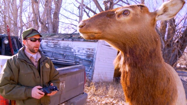 Yellowstone Wardens