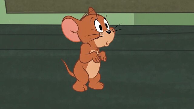 The Tom and Jerry Show