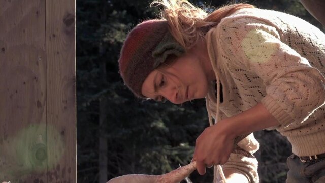 Alaska: The Last Frontier