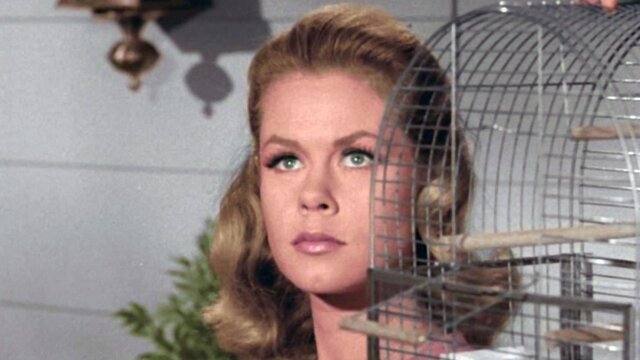 Bewitched