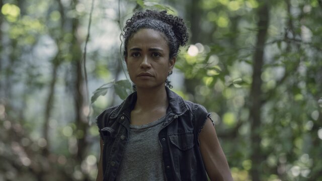 The Walking Dead