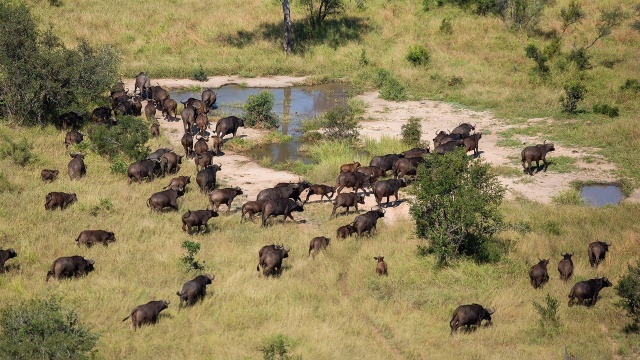 Extreme Airport Africa