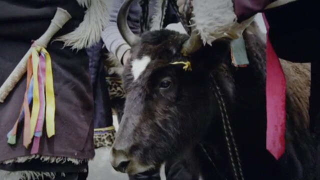 Solo contra el mundo