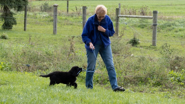 The Incredible Dr. Pol