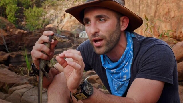 Coyote Peterson: Brave the Wild