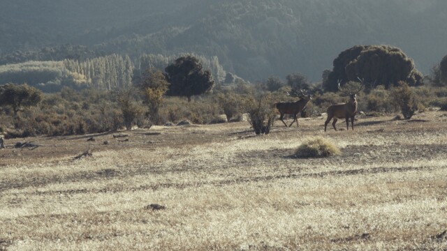 Into High Country