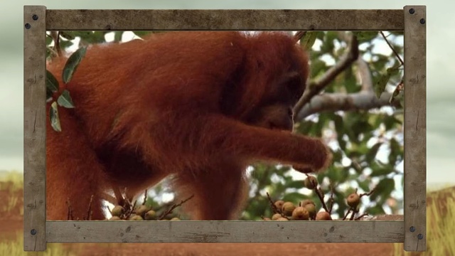 La máquina de la aventura