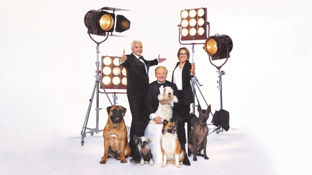 The National Dog Show