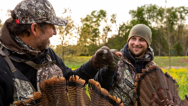 The Bearded Buck