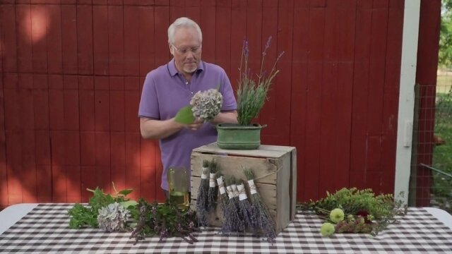 J Schwanke's Life in Bloom