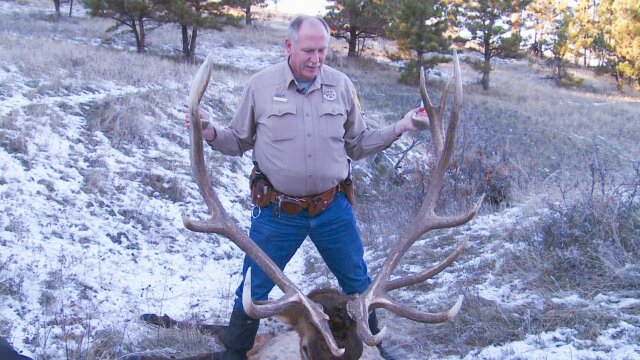 Yellowstone Wardens