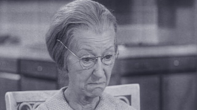 The Beverly Hillbillies