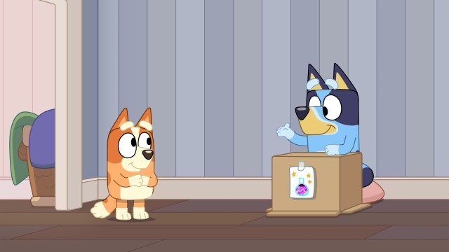 Bluey Minisodes