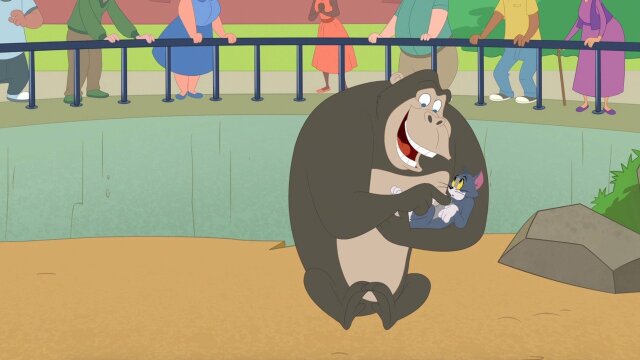 The Tom and Jerry Show