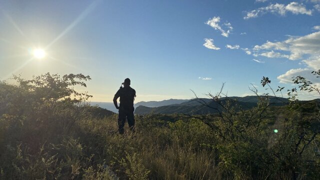 Patrick Aryee's Wild World