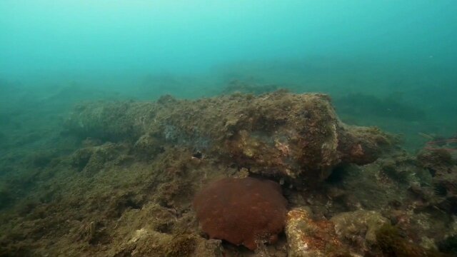 Caribbean Pirate Treasure