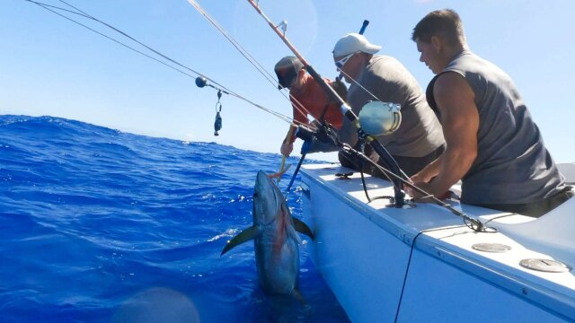 Watch Deadliest Catch: Bloodline Treacherous Grounds S3 E3