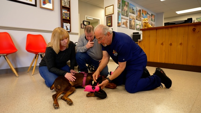 Second Chance Pets
