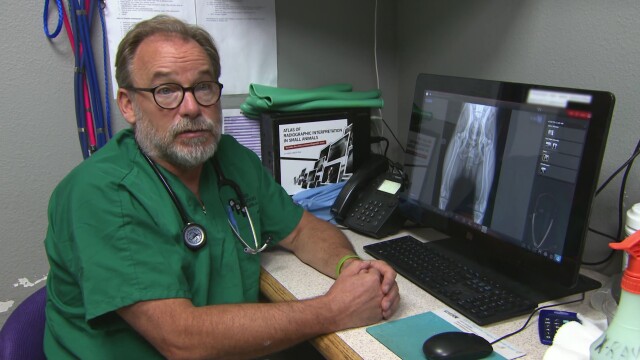 Dr. Jeff: Rocky Mountain Vet