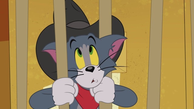 The Tom and Jerry Show