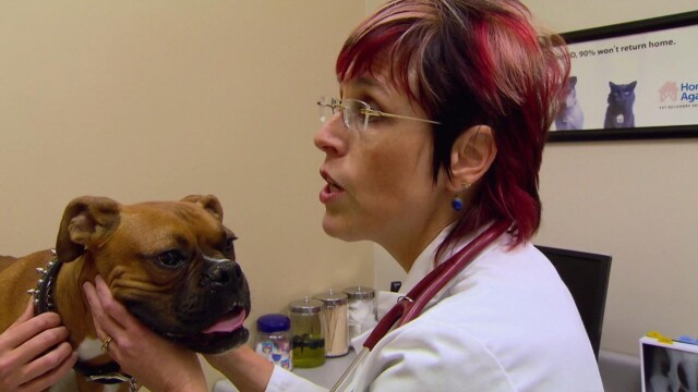 Keeping Up With the Kardashians